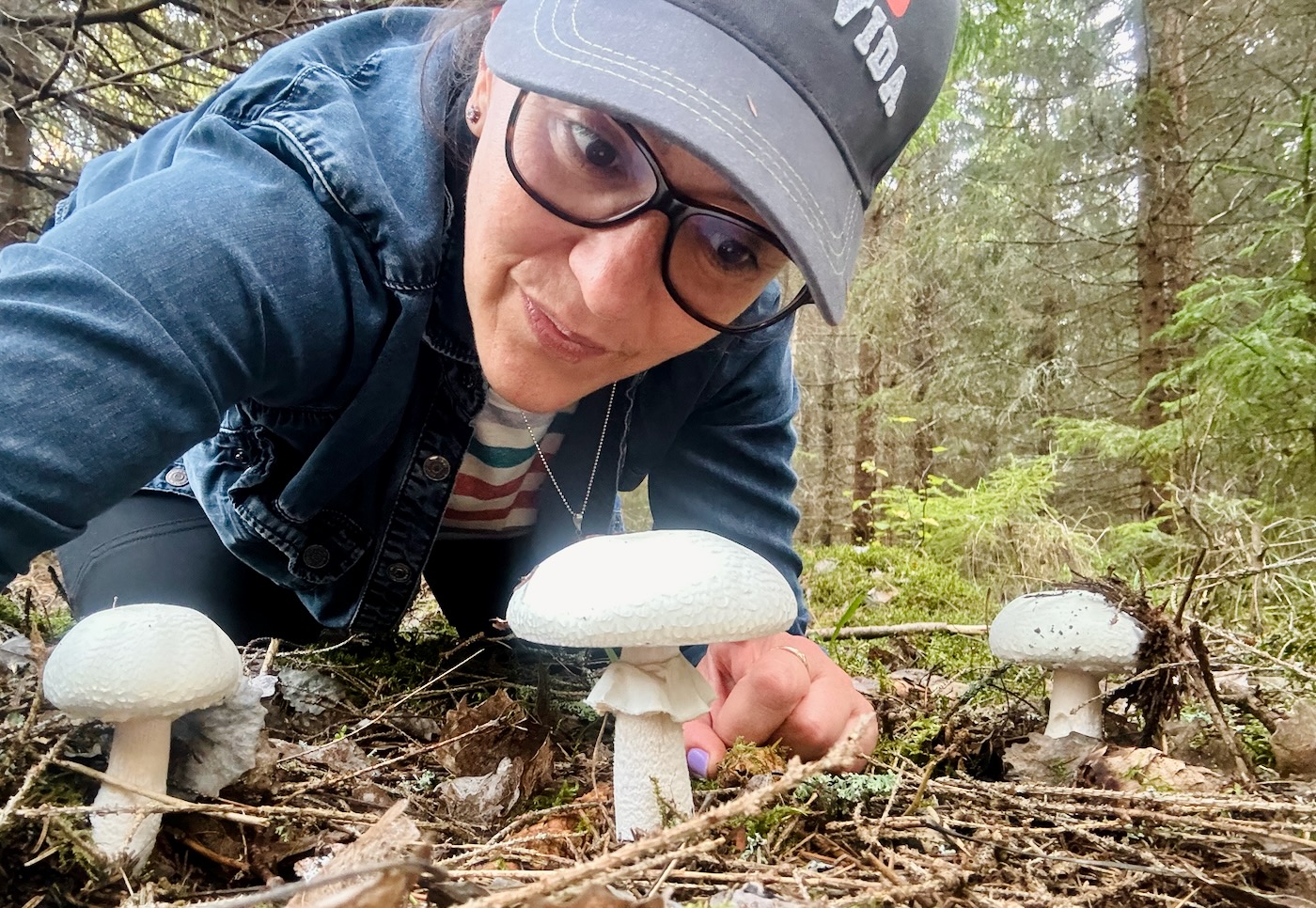 Marcela close to white mushrooms on the Värmland forest floor.